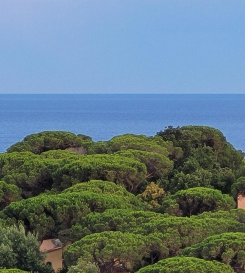 Villa Palm' Issambres 6-7 Personnes, Clim, Avec Piscine, Jardin Et Parking Prives La Garonnette-Plage Екстериор снимка