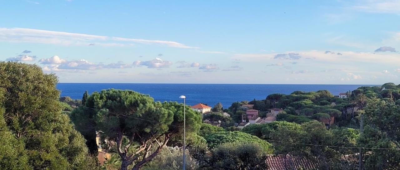 Villa Palm' Issambres 6-7 Personnes, Clim, Avec Piscine, Jardin Et Parking Prives La Garonnette-Plage Екстериор снимка