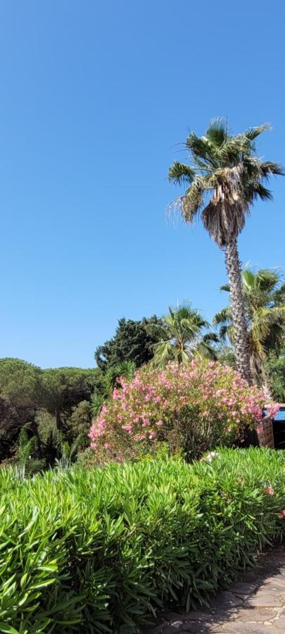 Villa Palm' Issambres 6-7 Personnes, Clim, Avec Piscine, Jardin Et Parking Prives La Garonnette-Plage Екстериор снимка